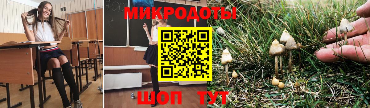 Псилоцибиновые грибы мухоморы  Вход с VPN  Джанкой 